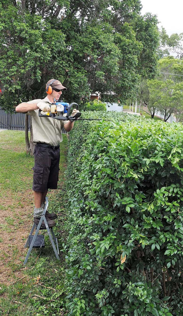 The Cleaning Crew QLD - Grounds Maintenance/Landscaping